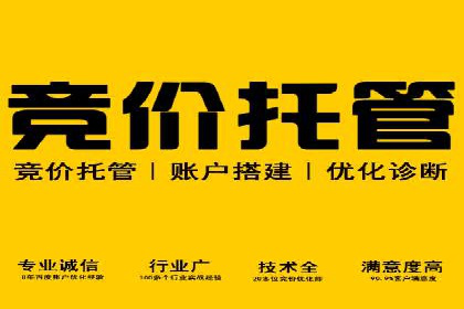 竞价开户优势解析：成功案例对比